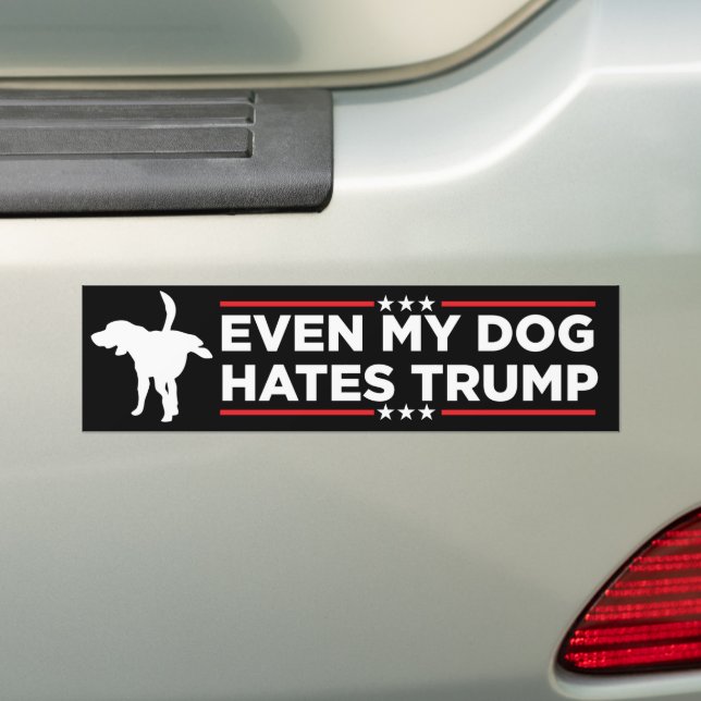 Pegatina Para Coche Incluso mi perro odia a Trump (en coche)