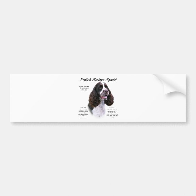 Pegatina Para Coche Inglés Springer Spaniel (hígado) Diseño de histori (Frente)
