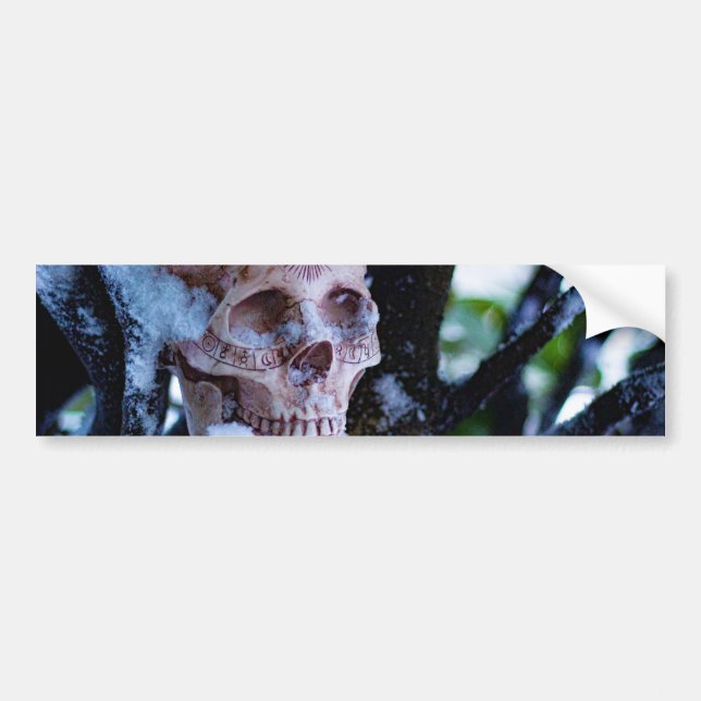 Pegatina Para Coche Invierno arcano I (Frente)