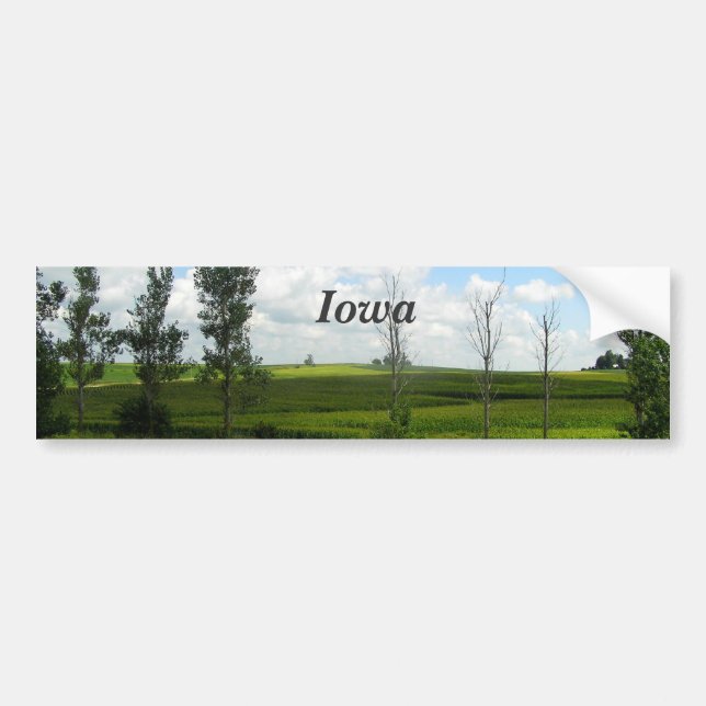 Pegatina Para Coche Iowa (Frente)