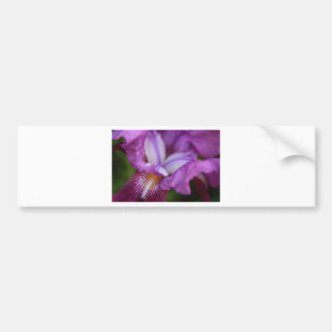 Pegatina Para Coche Iris alemán con barba