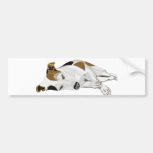 Pegatina Para Coche Jack Russell