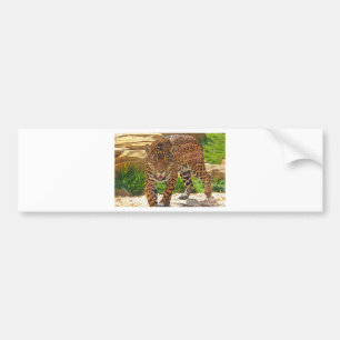 Pegatina Para Coche Jaguar