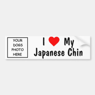 Pegatina Para Coche Japonés Chin