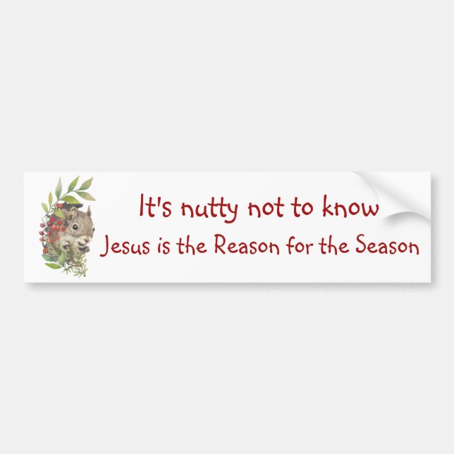 Pegatina Para Coche "Jesus is the reason for the season" Fun Squirrel  (Frente)