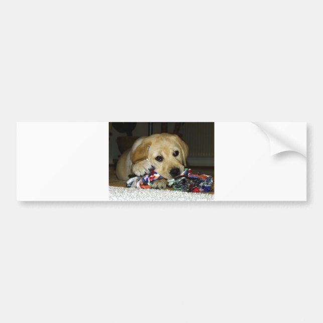 Pegatina Para Coche Juguete con cachorro amarillo LR (Frente)