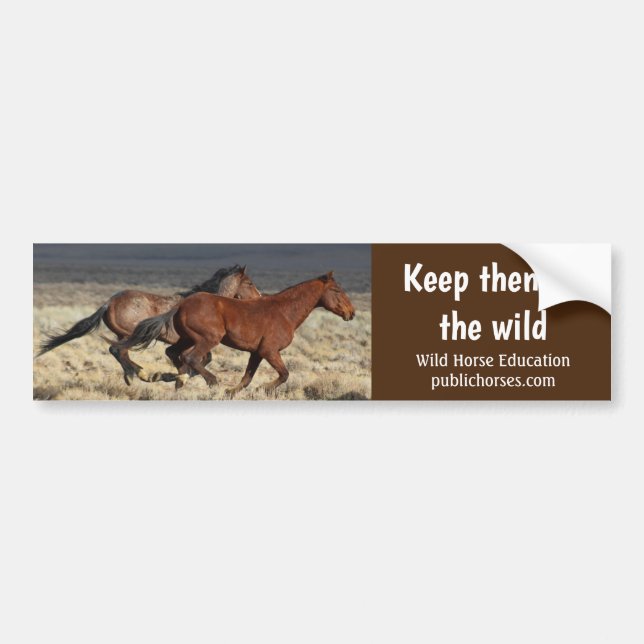 Pegatina Para Coche Keep Them In The Wild (Frente)