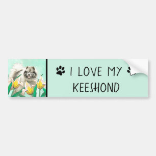Pegatina Para Coche Keeshond en tulipanes pintando bello arte original