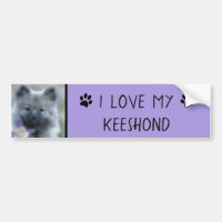 Keeshond y Columbine - Fotografía de perro