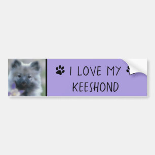 Pegatina Para Coche Keeshond y Columbine - Fotografía de perro