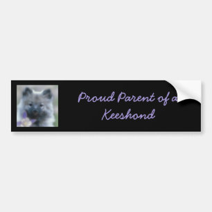 Pegatina Para Coche Keeshond y Columbine - Fotografía de perro