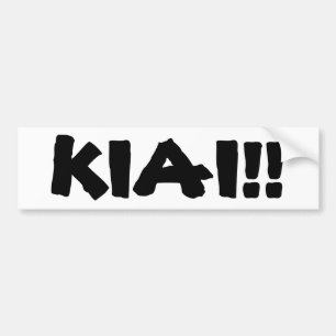PEGATINA PARA COCHE ¡KIAI!!