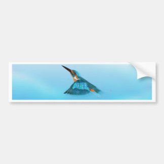 Pegatina Para Coche Kingfisher Bird