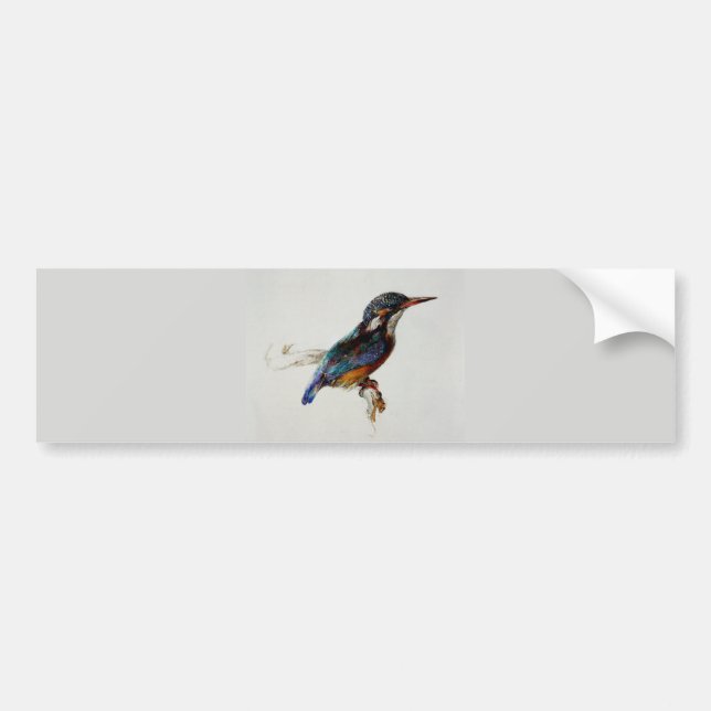 Pegatina Para Coche Kingfisher (por John Ruskin) (Frente)
