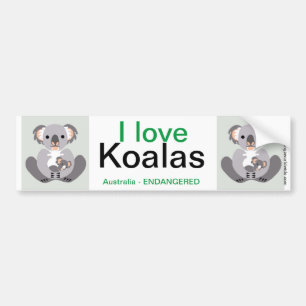 Pegatina Para Coche Koala-