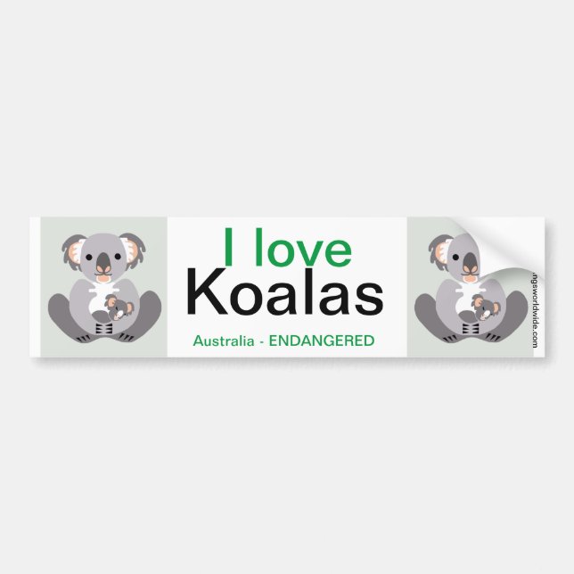 Pegatina Para Coche Koala- (Frente)