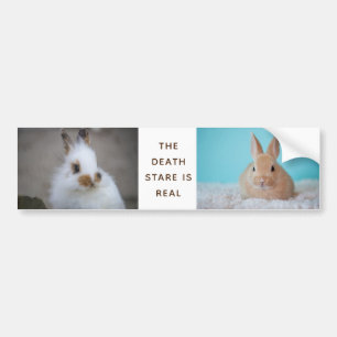 Pegatina Para Coche ¡La BUNNY Death Stare es real! Añadir una foto pro