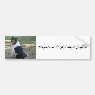 Pegatina Para Coche ¡La felicidad es una sonrisa de Collie!