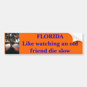Pegatina Para Coche La FLORIDA como la observación de un viejo amigo