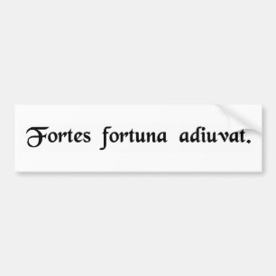 Pegatina Para Coche La fortuna favorece el intrépido