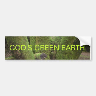 PEGATINA PARA COCHE LA TIERRA VERDE DE DIOS