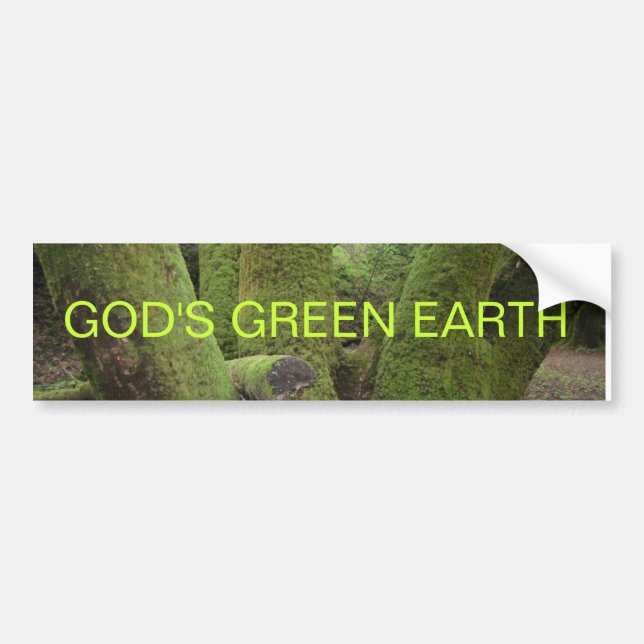 PEGATINA PARA COCHE LA TIERRA VERDE DE DIOS (Frente)