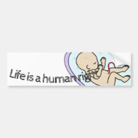 ¡La vida es un derecho humano!