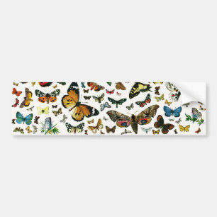 Pegatina Para Coche Las mariposas y polillas más conocidas de Europa