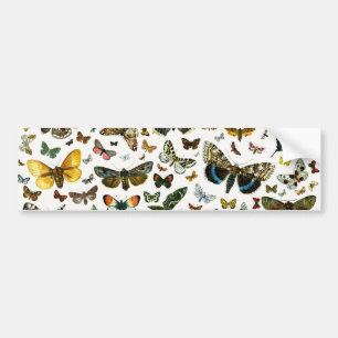 Pegatina Para Coche Las mariposas y polillas más conocidas de Europa