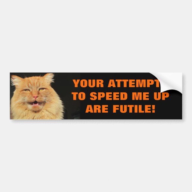 Pegatina Para Coche Las tentativas de Tailgaters son gato vano Meme (Frente)