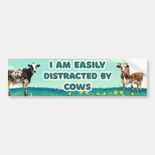 Pegatina Para Coche Las vacas me distran fácilmente, qué gracioso