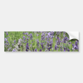 Pegatina Para Coche Lavanda