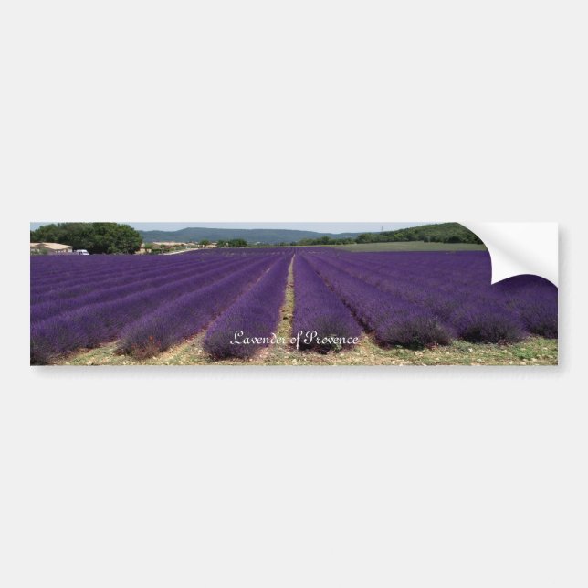 Pegatina Para Coche Lavanda de Provence (Frente)