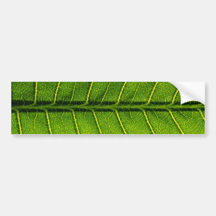 Pegatina Para Coche Leaf
