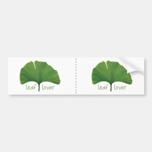 Pegatina Para Coche Leaf Gingko (Frente)