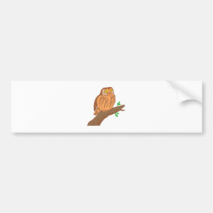 Pegatina Para Coche Lechuza vejete vejete de sierra Saw whet owl