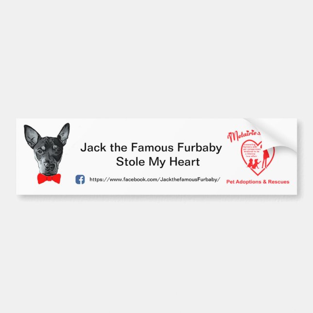 Pegatina Para Coche Levante el Furbaby famoso Bumpersticker (Frente)