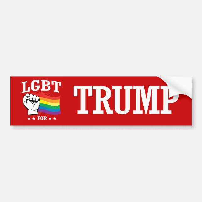 PEGATINA PARA COCHE LGBT PARA EL TRIUNFO (Frente)