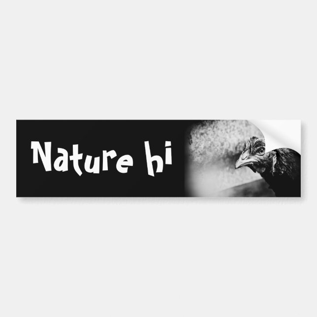 Pegatina Para Coche licores y pollos (Frente)