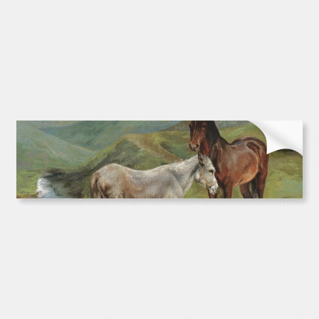Pegatina Para Coche Light Grey Horse in a Field (Equine Farm Animal) (Frente)