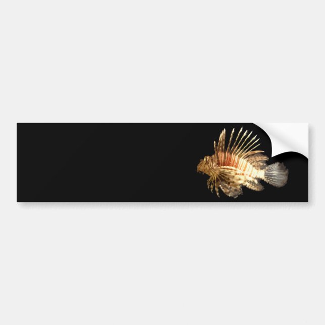 Pegatina Para Coche Lionfish (Frente)