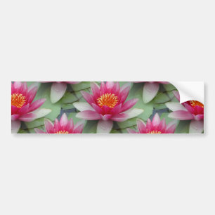 Pegatina Para Coche Lirio de agua de Lotus rosa