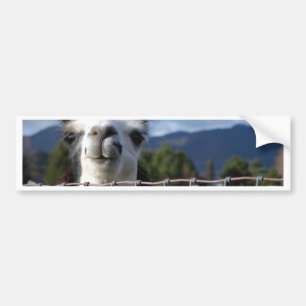 Pegatina Para Coche Llama sonriente divertida en Oregon meridional