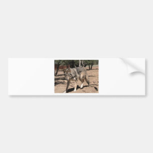 Pegatina Para Coche Lobo Alfa