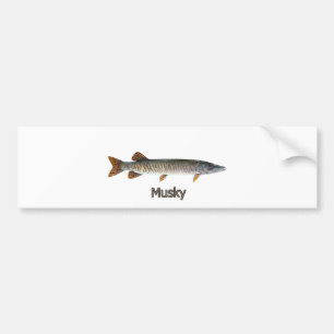 Pegatina Para Coche Logotipo almizclado (titulado)