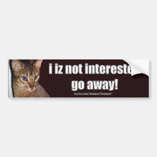 Pegatina Para Coche LOLCat 3 Bumpersticker