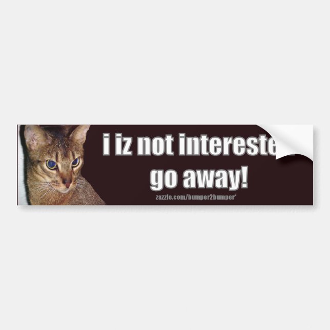 Pegatina Para Coche LOLCat 3 Bumpersticker (Frente)