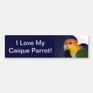 Pegatina Para Coche Loro colorido del caique