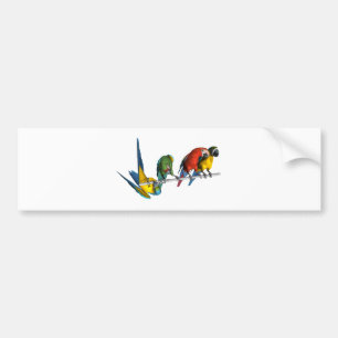 Pegatina Para Coche Loro del Macaw