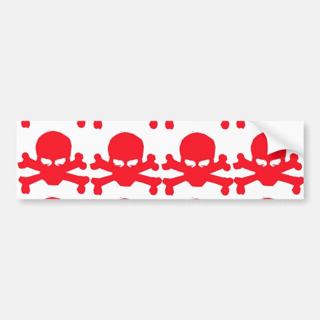 PEGATINA PARA COCHE LOROS PIRATAS (Frente)